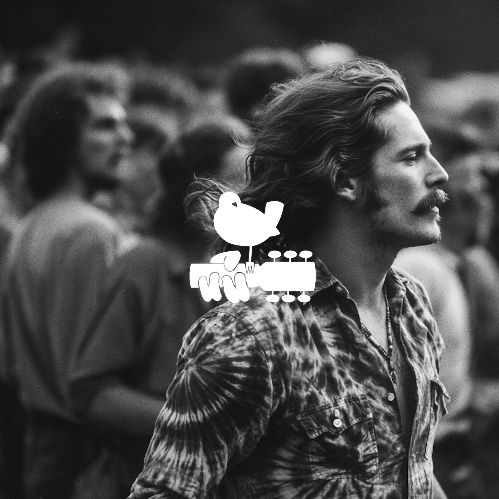 WOODSTOCK-LOGO-8.jpg